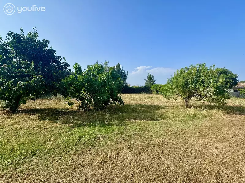 Terrain, 1 000 m²