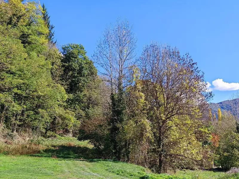 Terrain, 1 200 m²