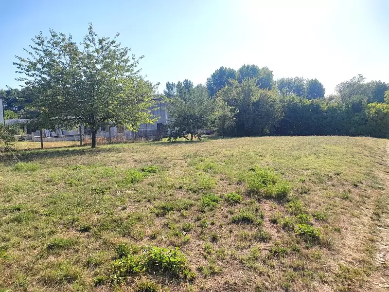 Terrain
