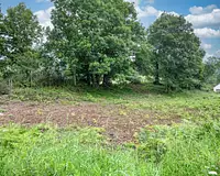 Terrain