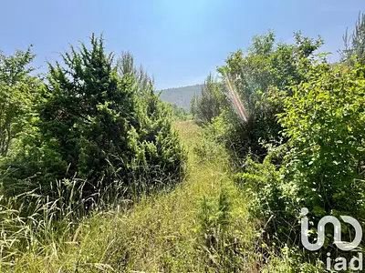 Terrain, 12 527 m²
