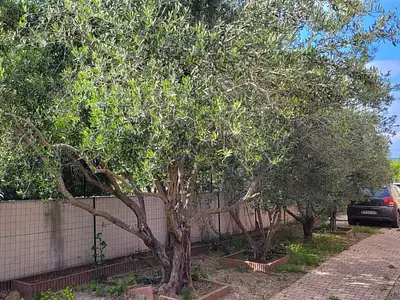 Maison, 156 m²