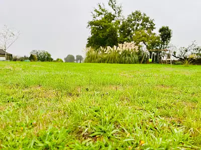 Maison, 137 m²
