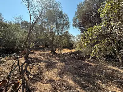 Terrain, 1 440 m²