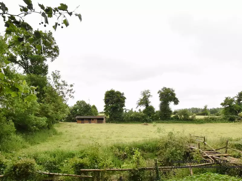 Terrain, 19 831 m²
