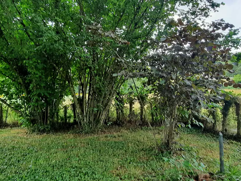 Terrain, 1 162 m²