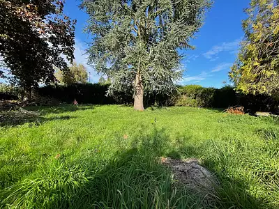 Terrain, 850 m²