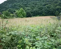 Terrain, 1 531 m²