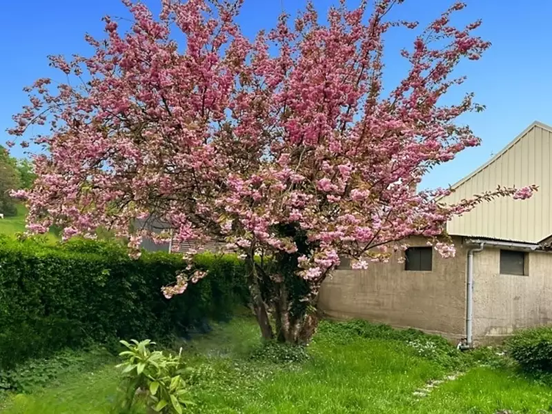 Maison, 160 m²