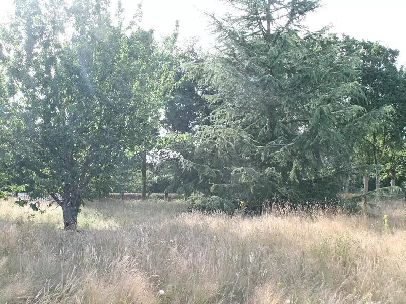 Terrain, 2 500 m²