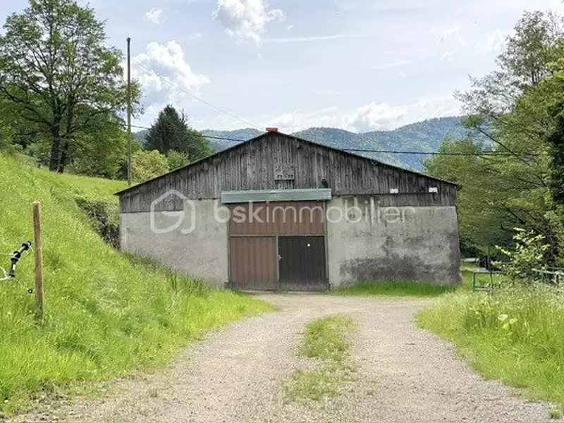 Terrain, 30 000 m²