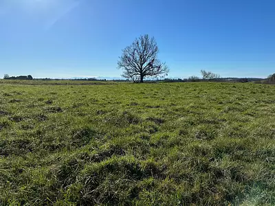 Terrain, 4 403 m²