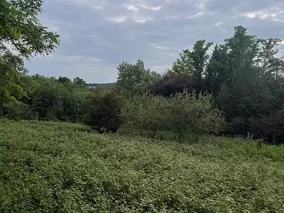 Terrain, 1 329 m²