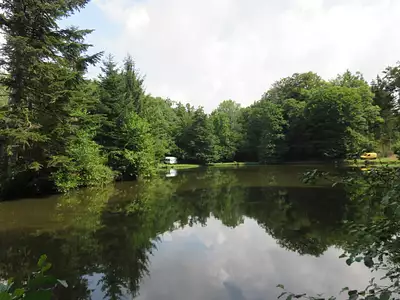 Terrain, 4 560 m²