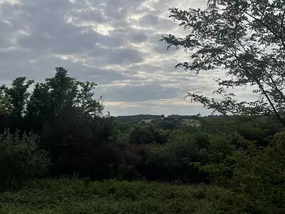 Terrain, 1 329 m²