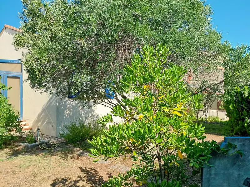 Maison, 76 m²