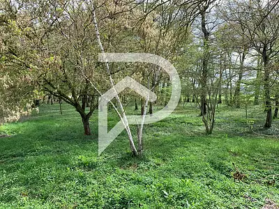 Terrain, 11 780 m²