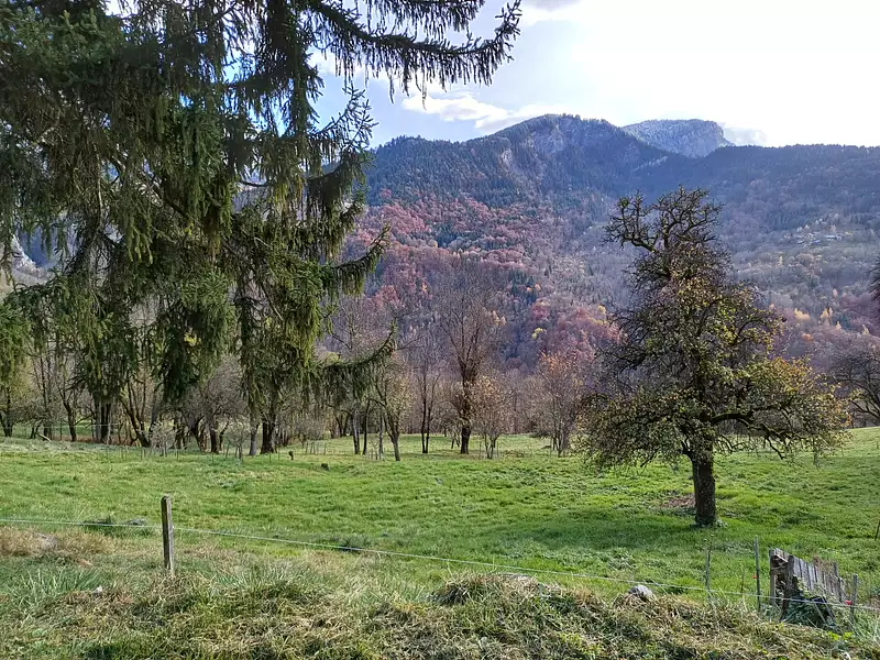 Terrain, 667 m²