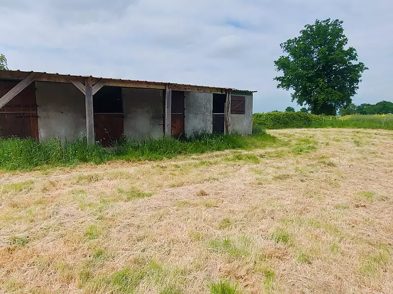 Maison, 137 m²