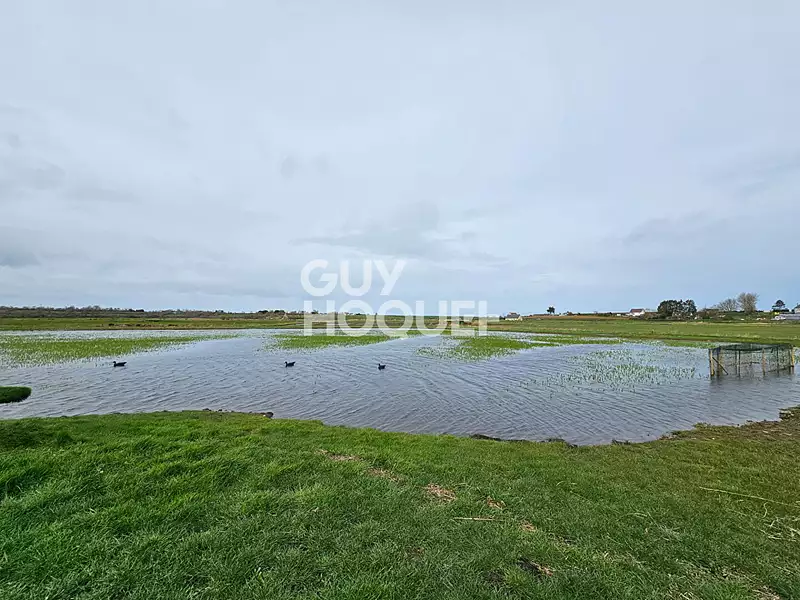 Terrain, 13 560 m²