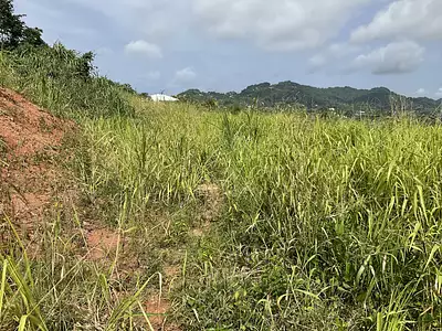 Terrain, 477,99 m²