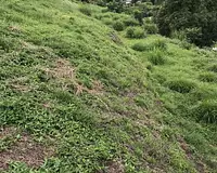 Terrain, 3 074 m²