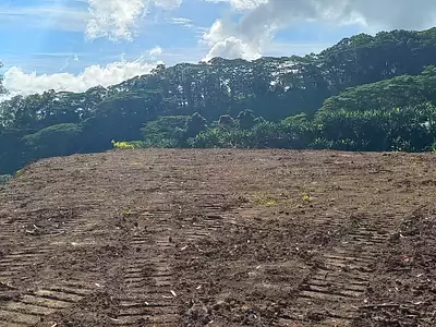 Terrain, 5 000 m²
