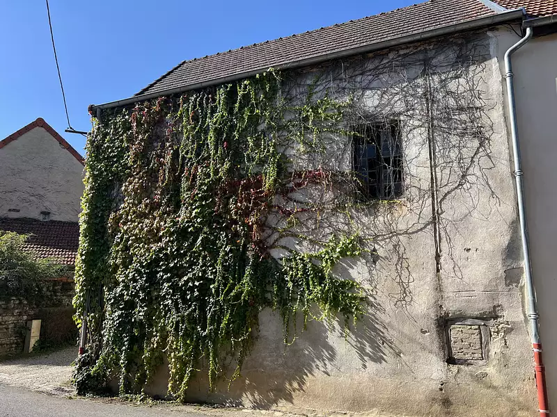 Maison, 45 m²
