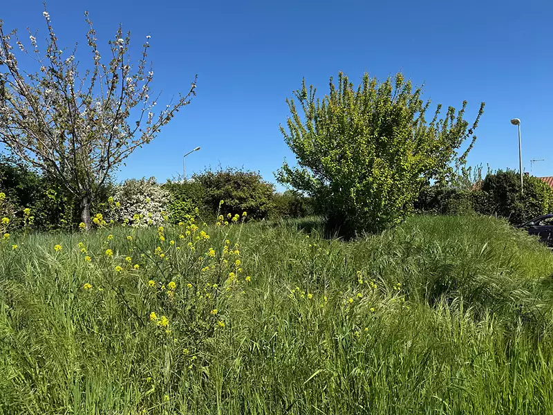 Terrain, 208 m²