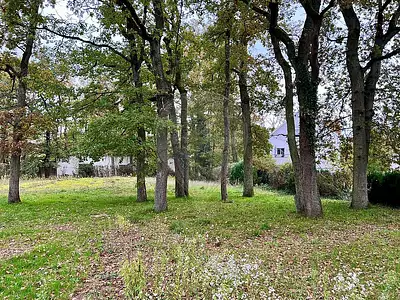 Terrain, 2 407 m²