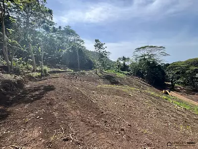 Terrain, 1 600 m²