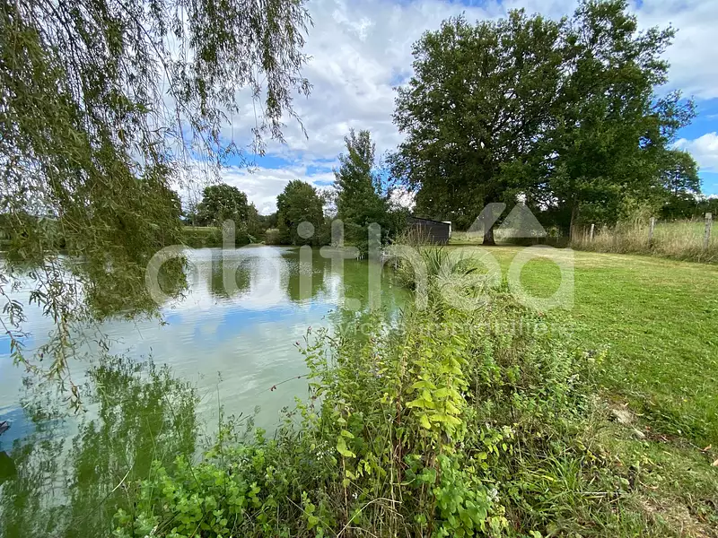 Terrain, 25 228 m²