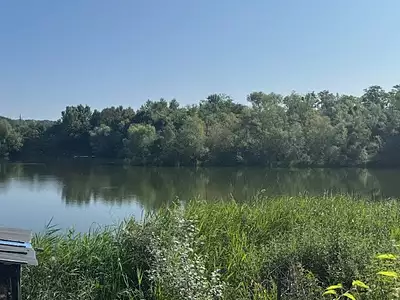 Terrain