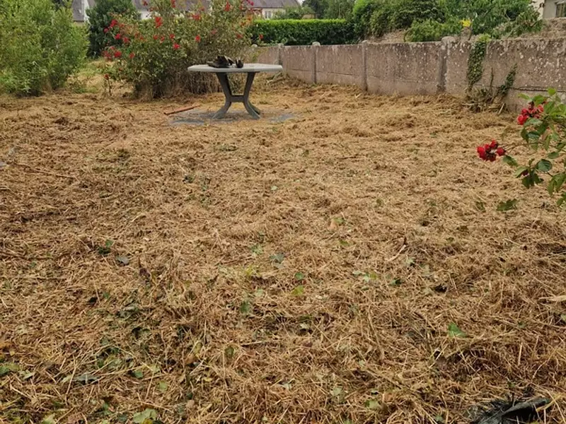 Maison, 57 m²