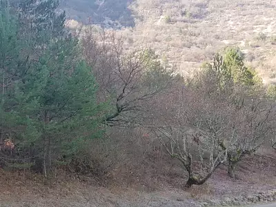 Terrain, 19 793 m²