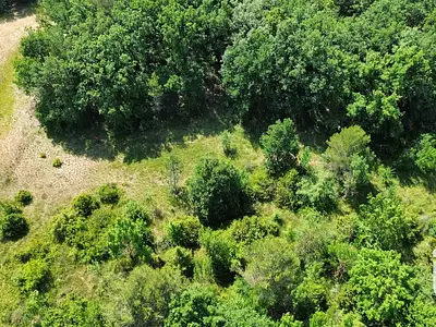 Terrain, 12 527 m²