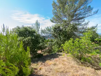 Terrain, 831 m²