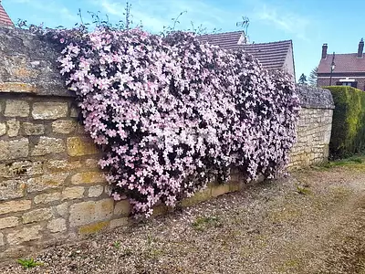 Maison, 149 m²
