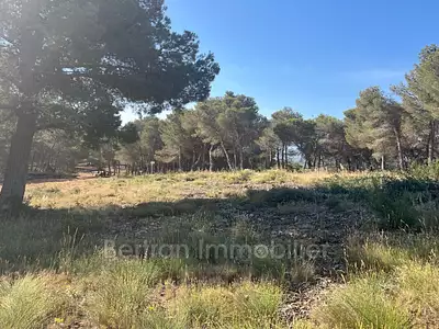 Terrain, 3 596 m²