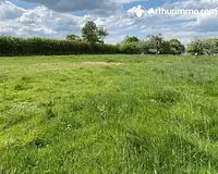 Terrain, 1 465 m²