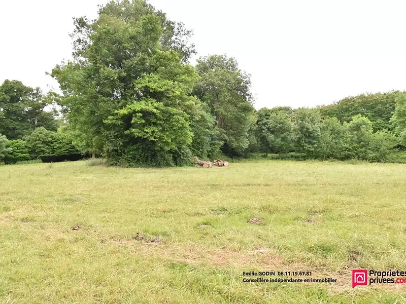 Terrain, 19 831 m²