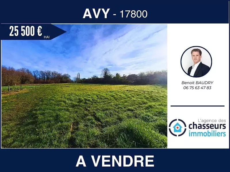 Terrain, 1 441 m²