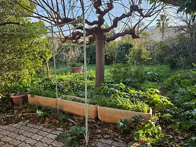 Terrain, 709 m²