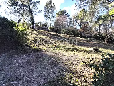 Terrain, 1 323 m²