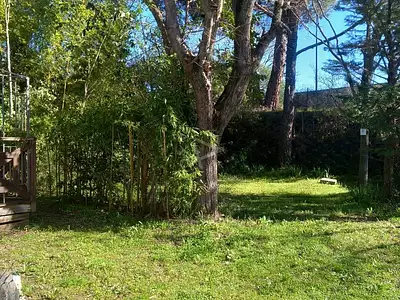 Terrain, 800 m²