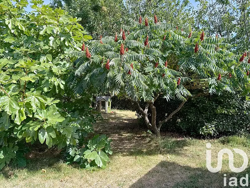 Maison, 78 m²