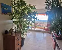 Appartement, 44,38 m²