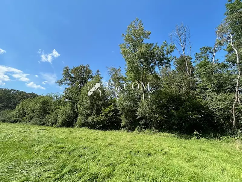 Terrain, 11 407 m²