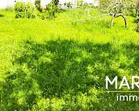 Maison, 132 m²