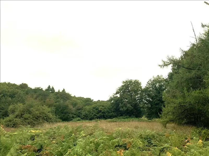 Terrain, 4 316 m²